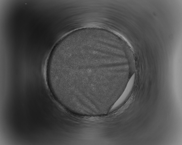 X0000087520991200705181009