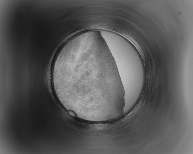 X0000087520992200705181009