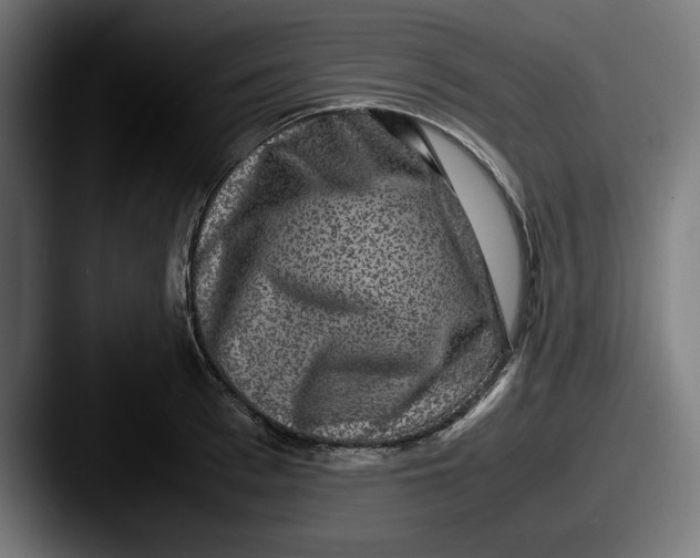 X0000087520993200705181009