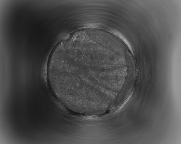 X0000087520994200705181009