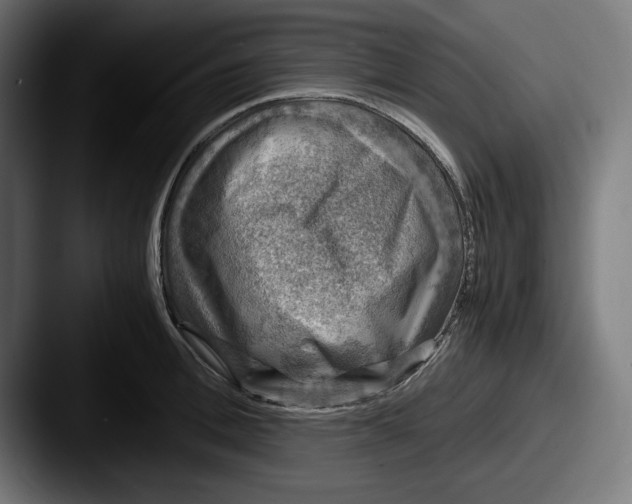 X0000087520996200705181009