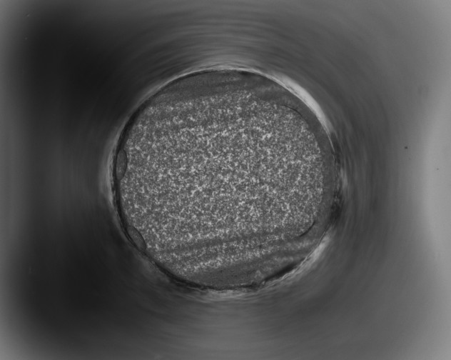 X0000087520997200705181009