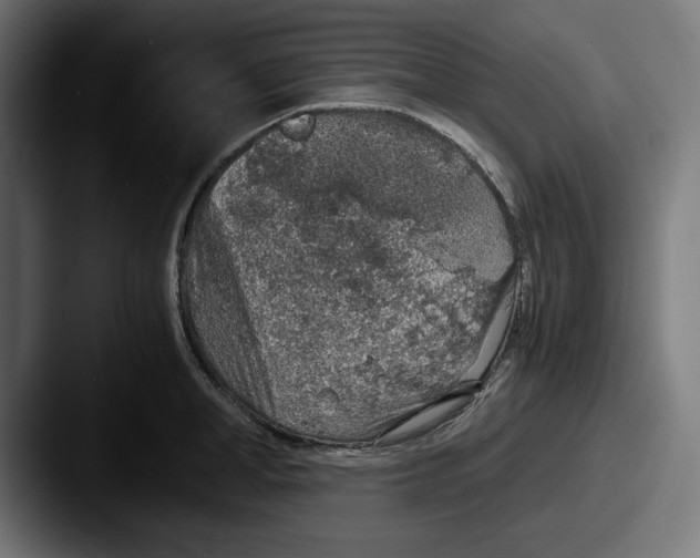 X0000087520998200705181009