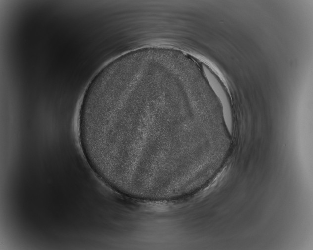 X0000087520999200705181009