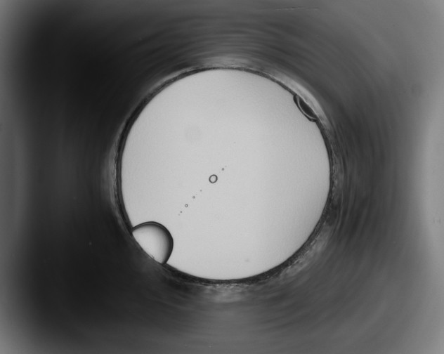 X0000087521000200705181009