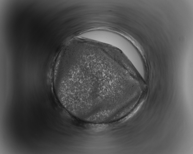 X0000087521001200705181009