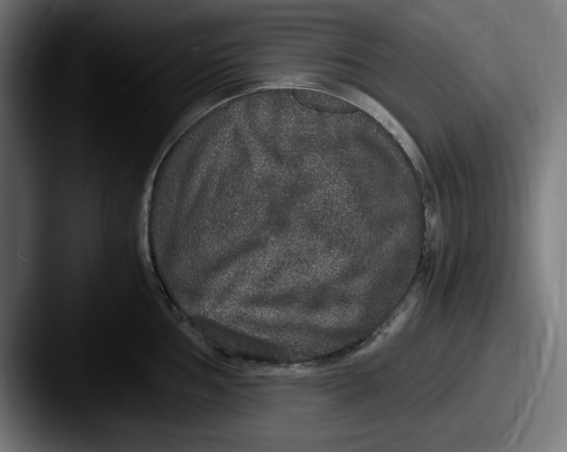 X0000087521002200705181009