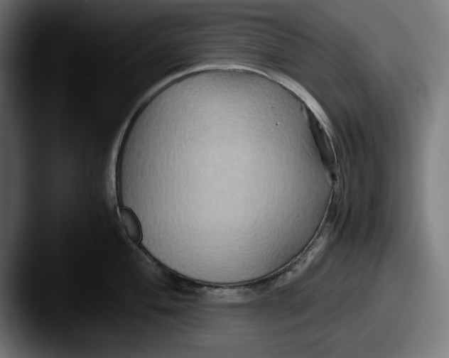 X0000087521004200705181009