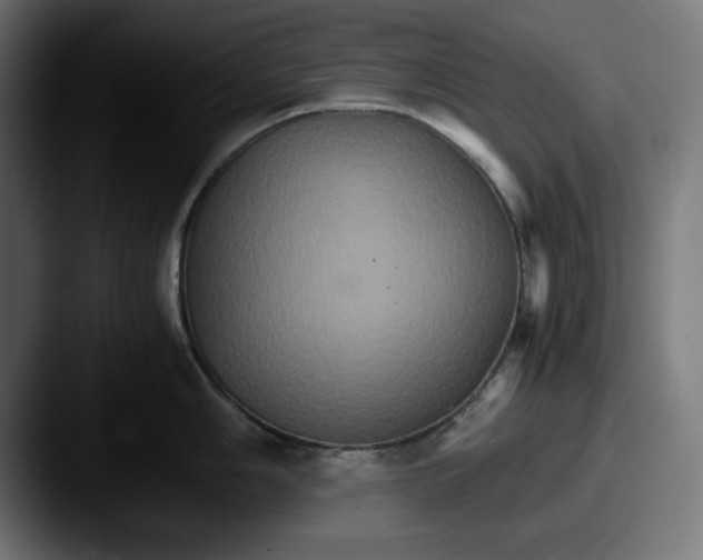 X0000087521006200705181009