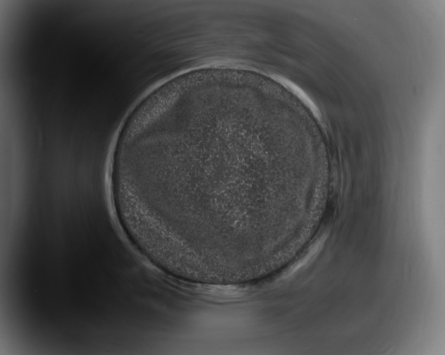 X0000087521007200705181009