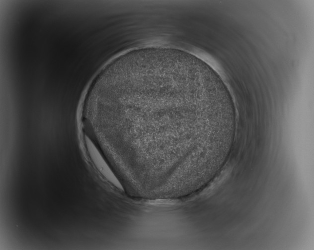 X0000087521008200705181009