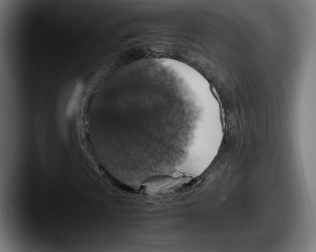 X0000087521009200705181008