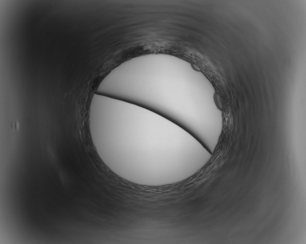 X0000087521012200705181008