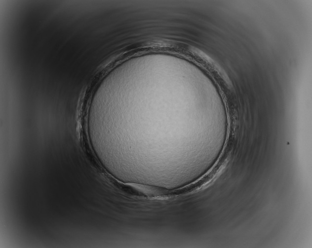 X0000087521017200705181008