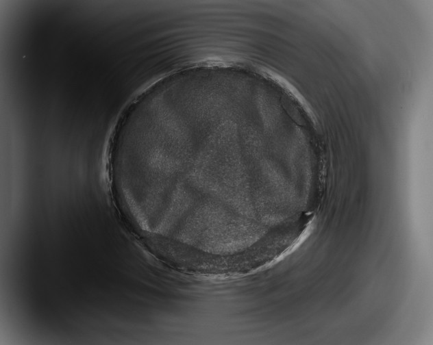 X0000087521018200705181008