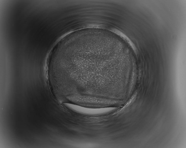 X0000087521019200705181008