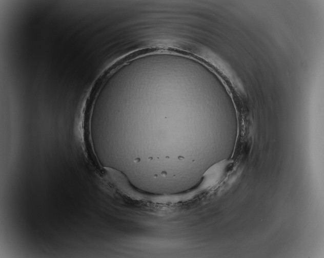 X0000087521020200705181008