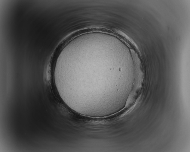 X0000087521021200705181009