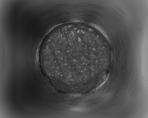 X0000087521023200705181009