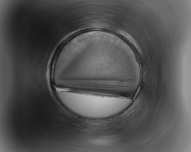 X0000087521024200705181009