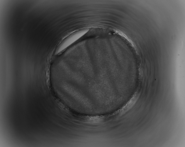 X0000087521025200705181009