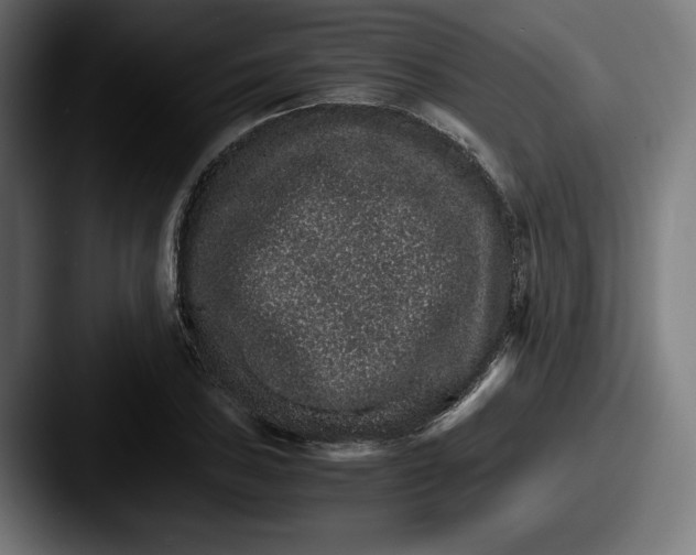 X0000087521027200705181009