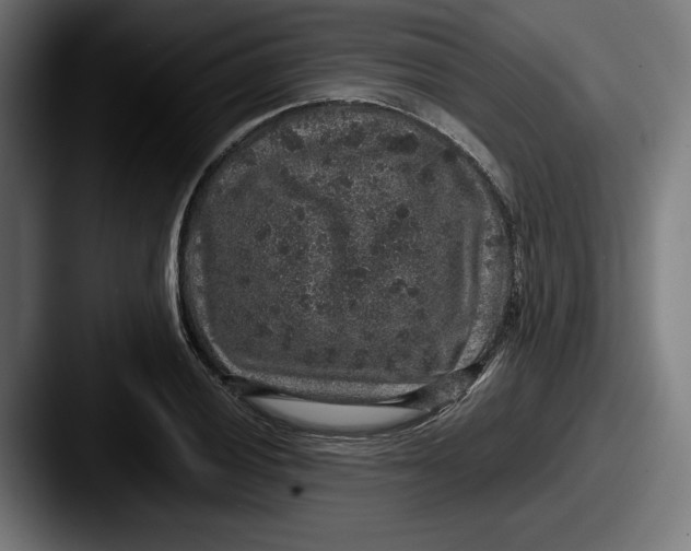 X0000087521028200705181009