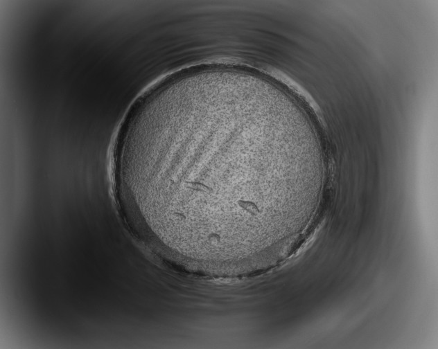 X0000087521029200705181009