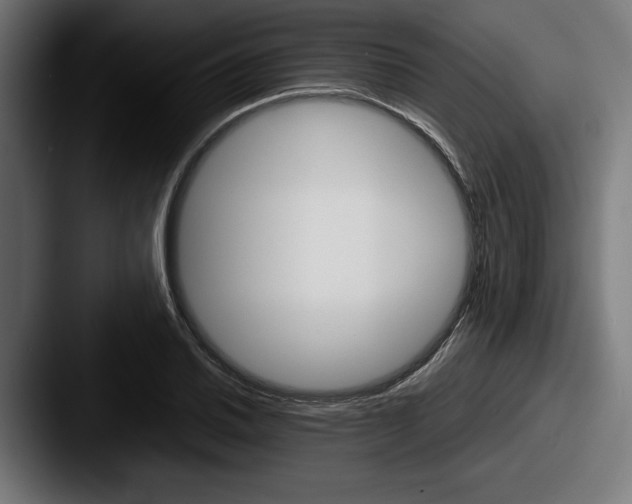 X0000087521030200705181009