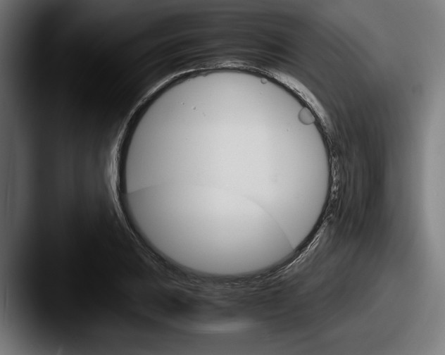 X0000087521031200705181009