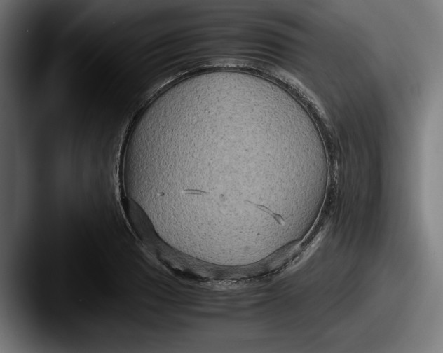 X0000087521033200705181009