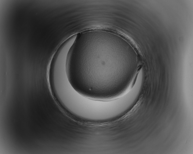 X0000087521034200705181009