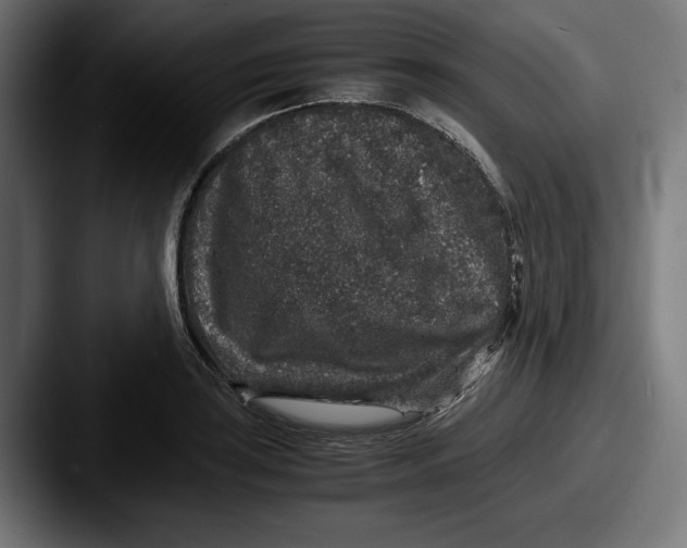 X0000087521035200705181009