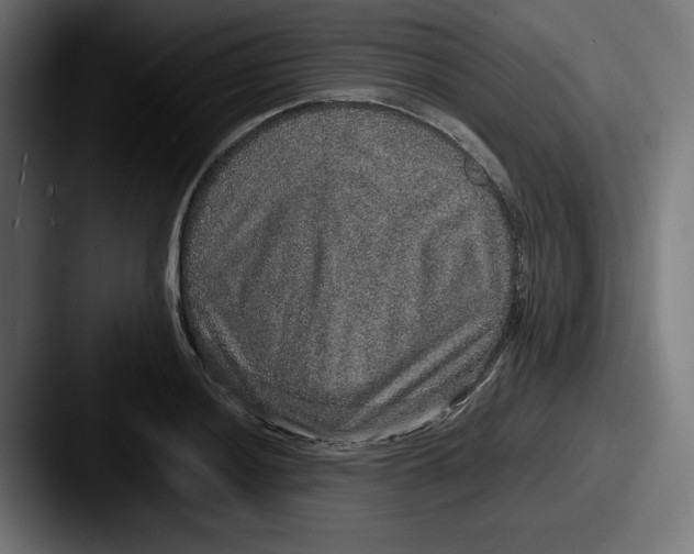 X0000087521036200705181009