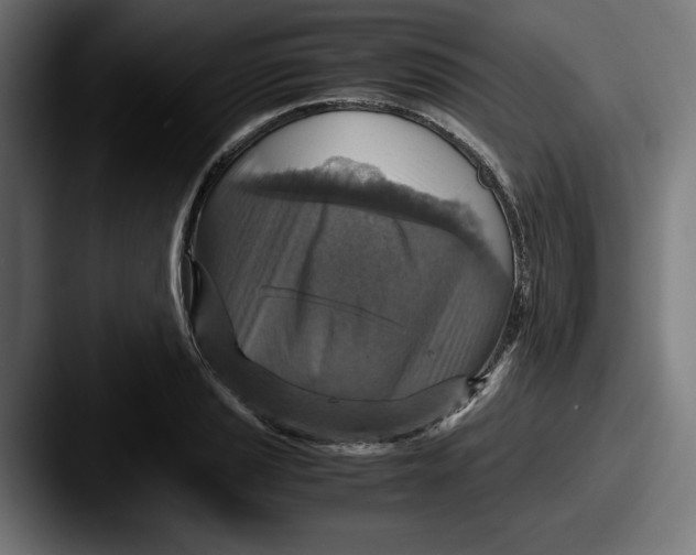 X0000087521037200705181009