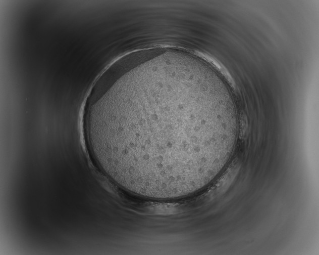 X0000087521039200705181009