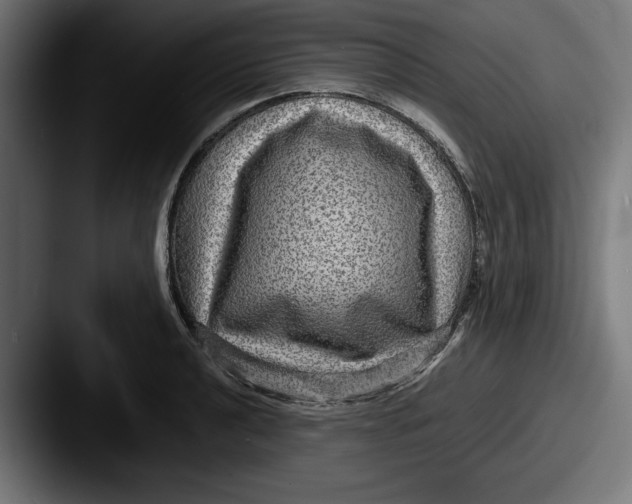 X0000087521040200705181009