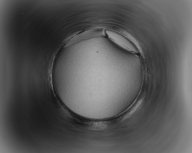 X0000087521041200705181009