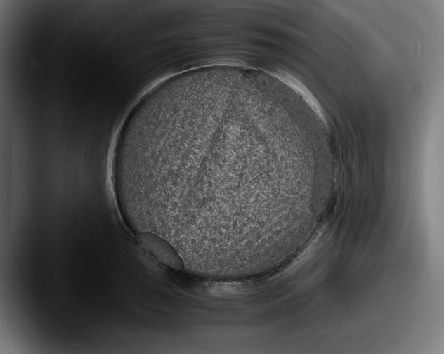 X0000087521043200705181009