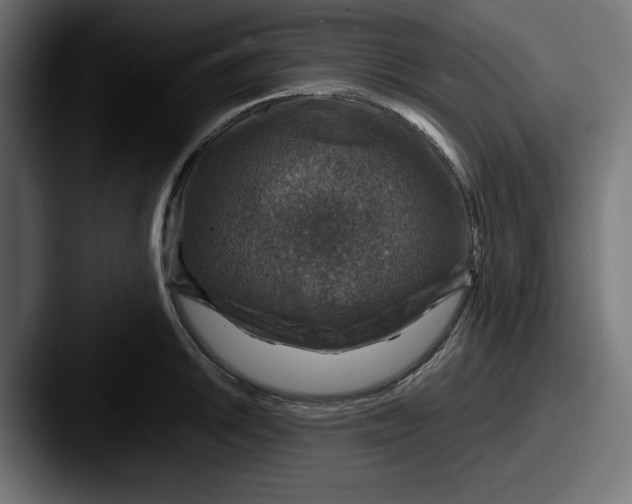 X0000087521046200705181009