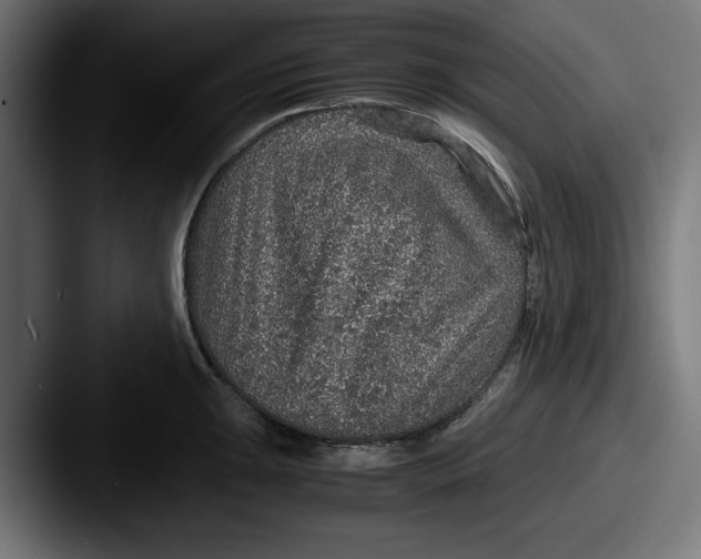 X0000087521047200705181009