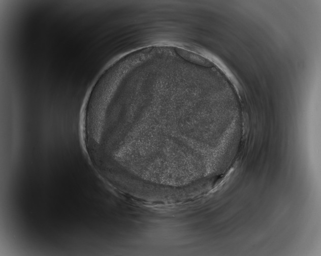 X0000087521048200705181009