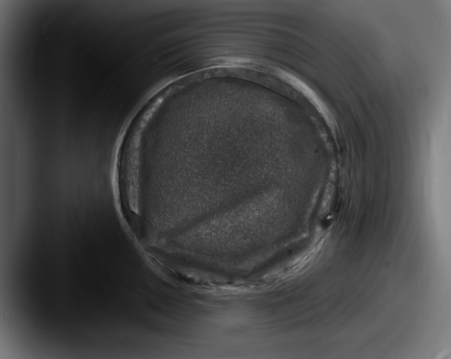 X0000087521050200705181009