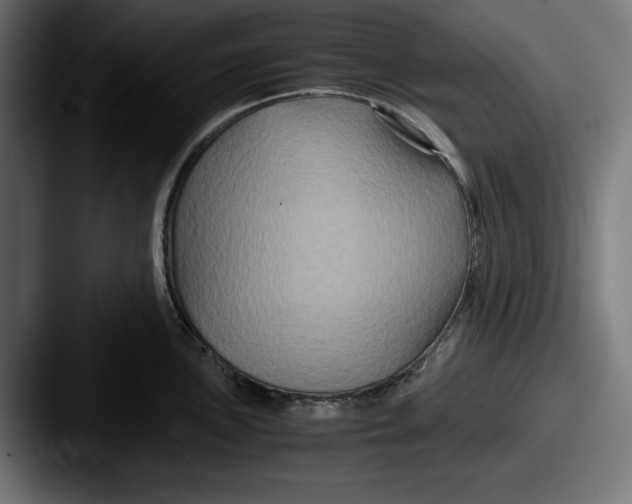 X0000087521051200705181009