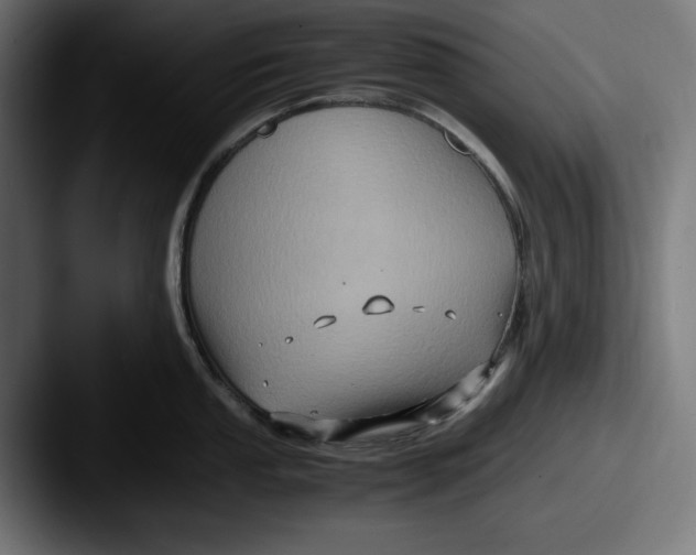 X0000087521053200705181009