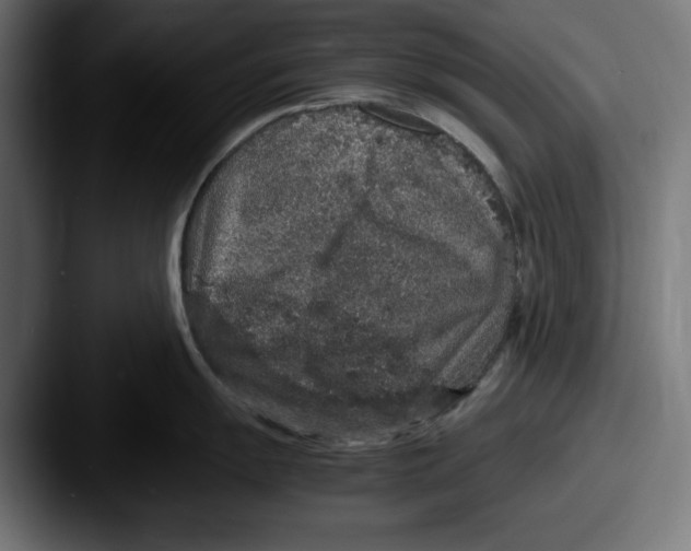 X0000087521055200705181009