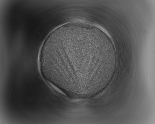 X0000087521056200705181009