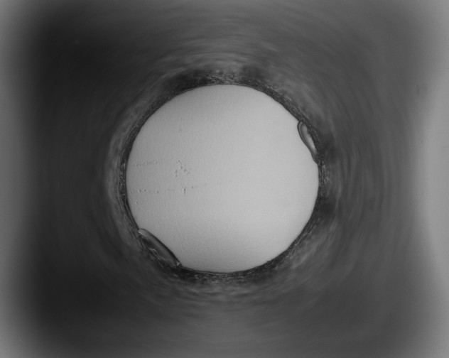 X0000087521057200705181008