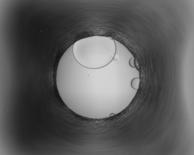 X0000087521058200705181008