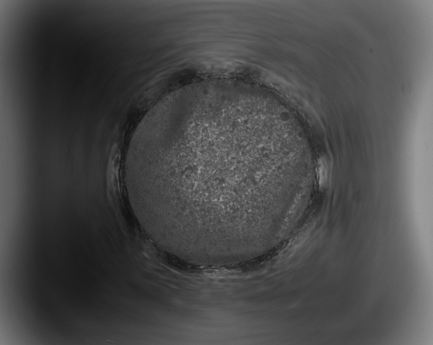 X0000087521059200705181008